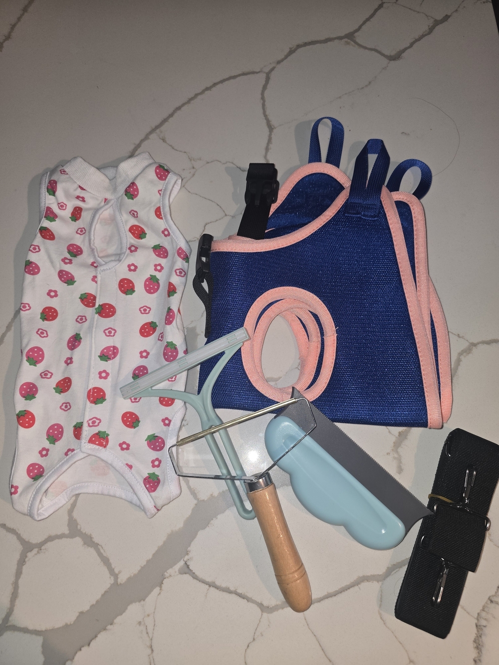 Little Fur Babies Blue and Pink Safety Harness Vest with Strawberry Print Onesie